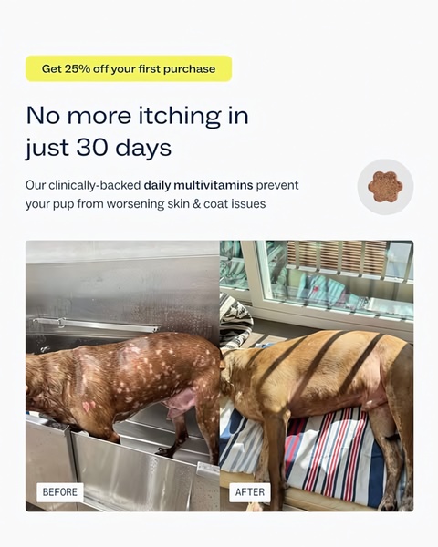 A split-screen comparison showing a dog's skin condition improvement over a 30-day period after using daily multivitamins.